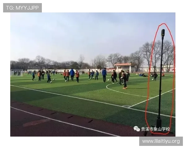 飞鲸体育如何利用数字化平台优化青少年体育资源配置